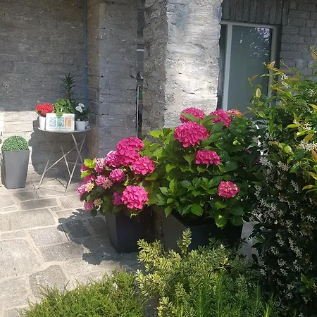 Ori Oriana Lägenhet